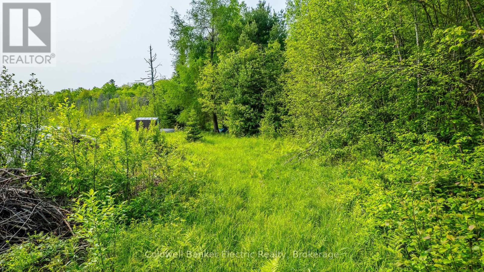 1304 Lower Monmouth Lake Road, Highlands East (Monmouth), Ontario  K0L 2Y0 - Photo 41 - X13646890