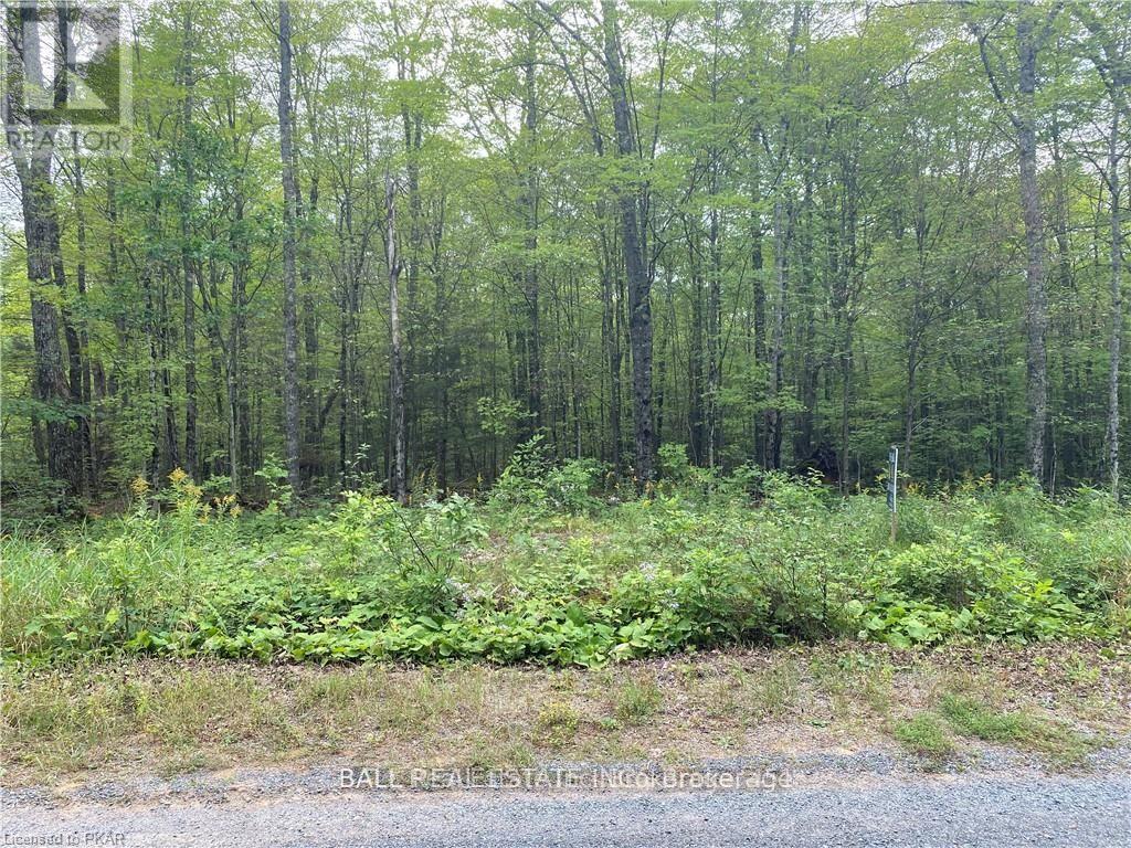 N/a Pcl 45-2 Sec M63 Road, Marmora And Lake (Lake Ward), Ontario  K0L 1P0 - Photo 3 - X13652500
