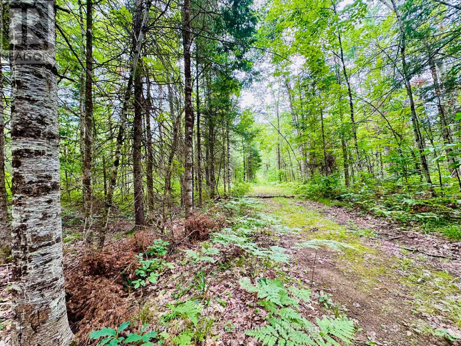 7140 Highway 28, North Kawartha, Ontario  K0L 3E0 - Photo 25 - X13655708