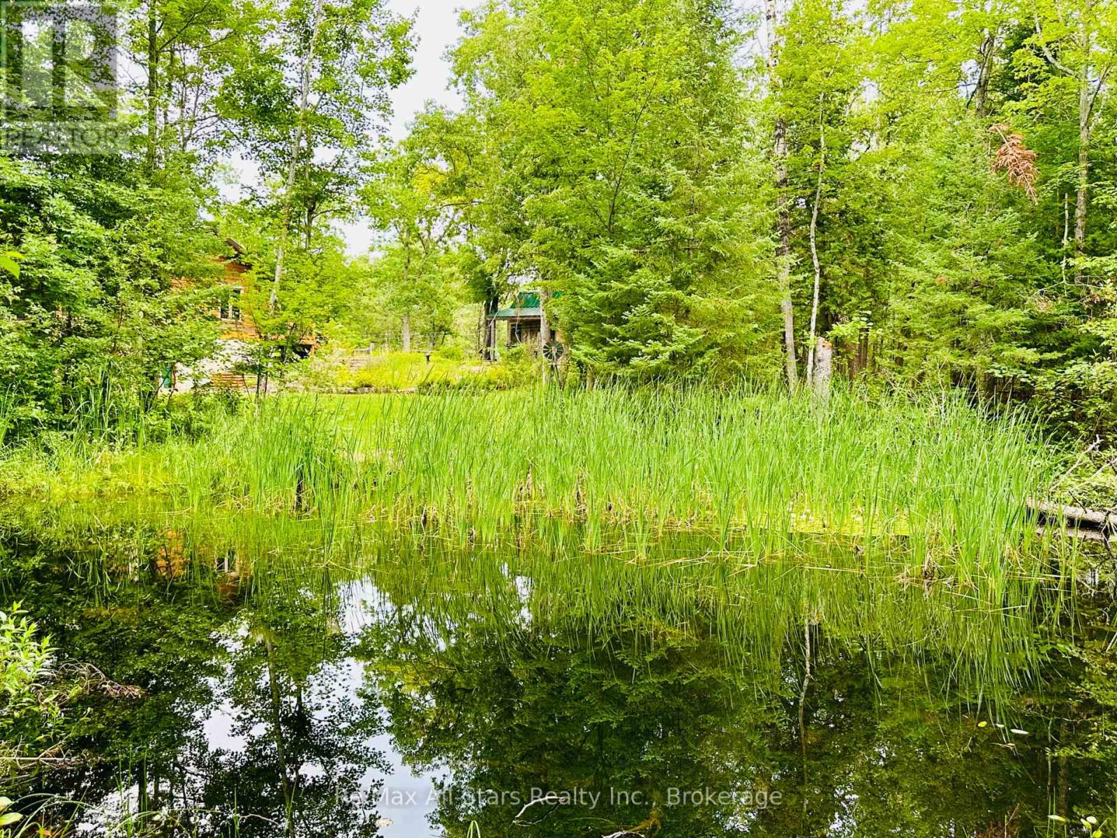 7140 Highway 28, North Kawartha, Ontario  K0L 3E0 - Photo 27 - X13655708