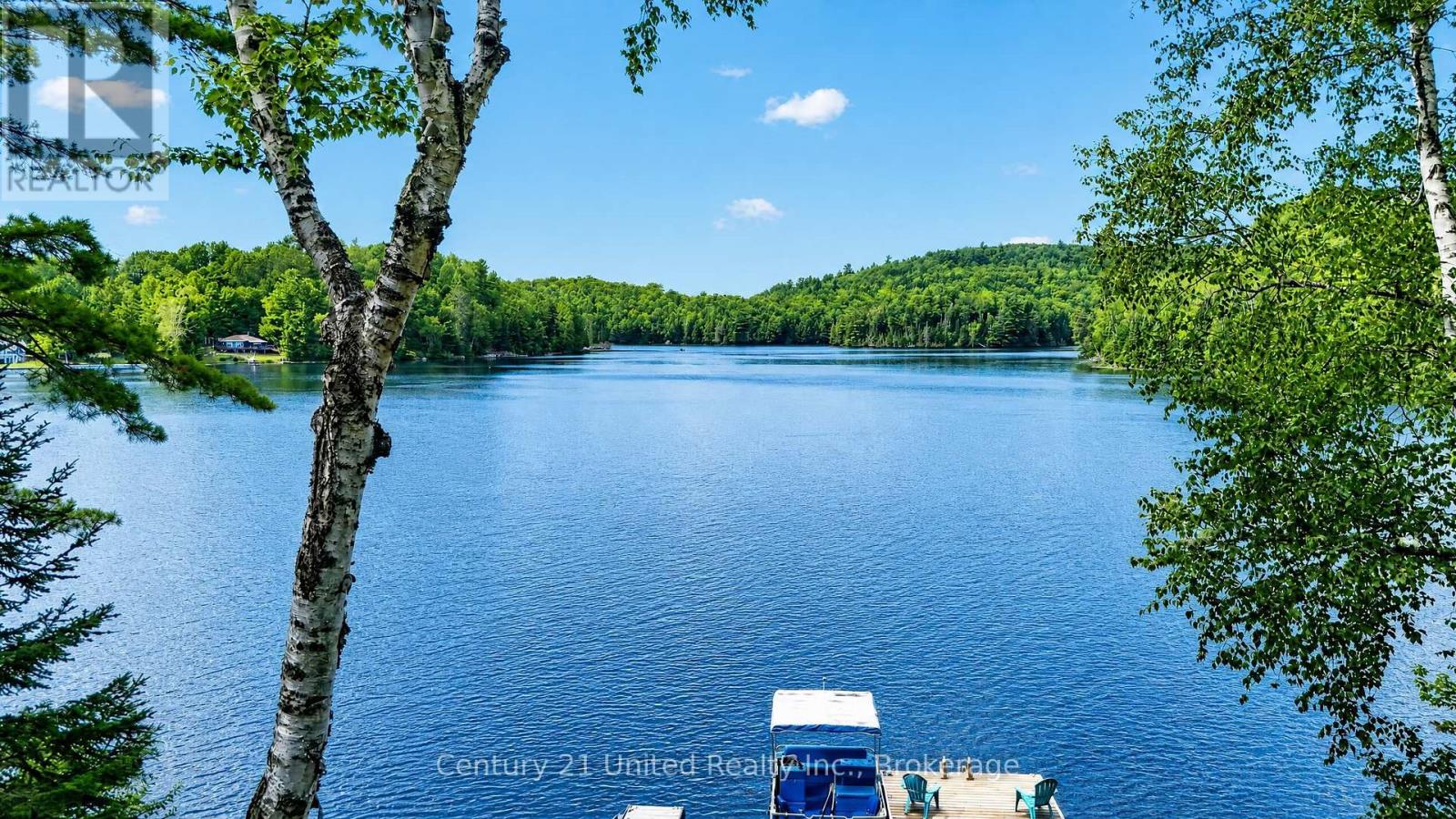 166 Golden Shores Road, Hastings Highlands (Herschel Ward), Ontario  K0L 1C0 - Photo 21 - X13658282