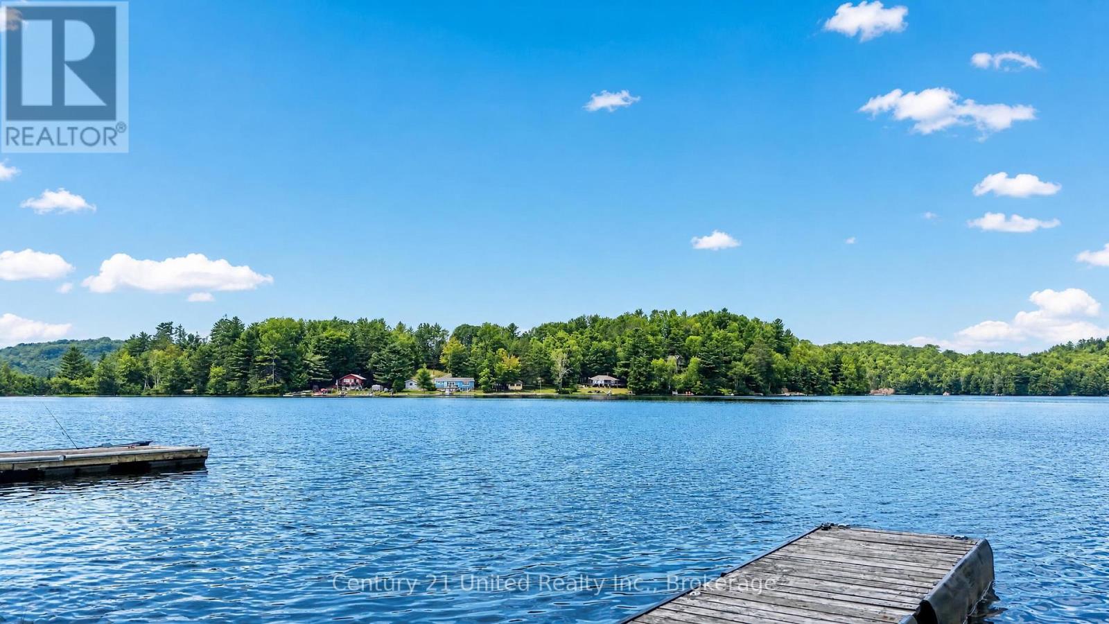 166 Golden Shores Road, Hastings Highlands (Herschel Ward), Ontario  K0L 1C0 - Photo 44 - X13658282