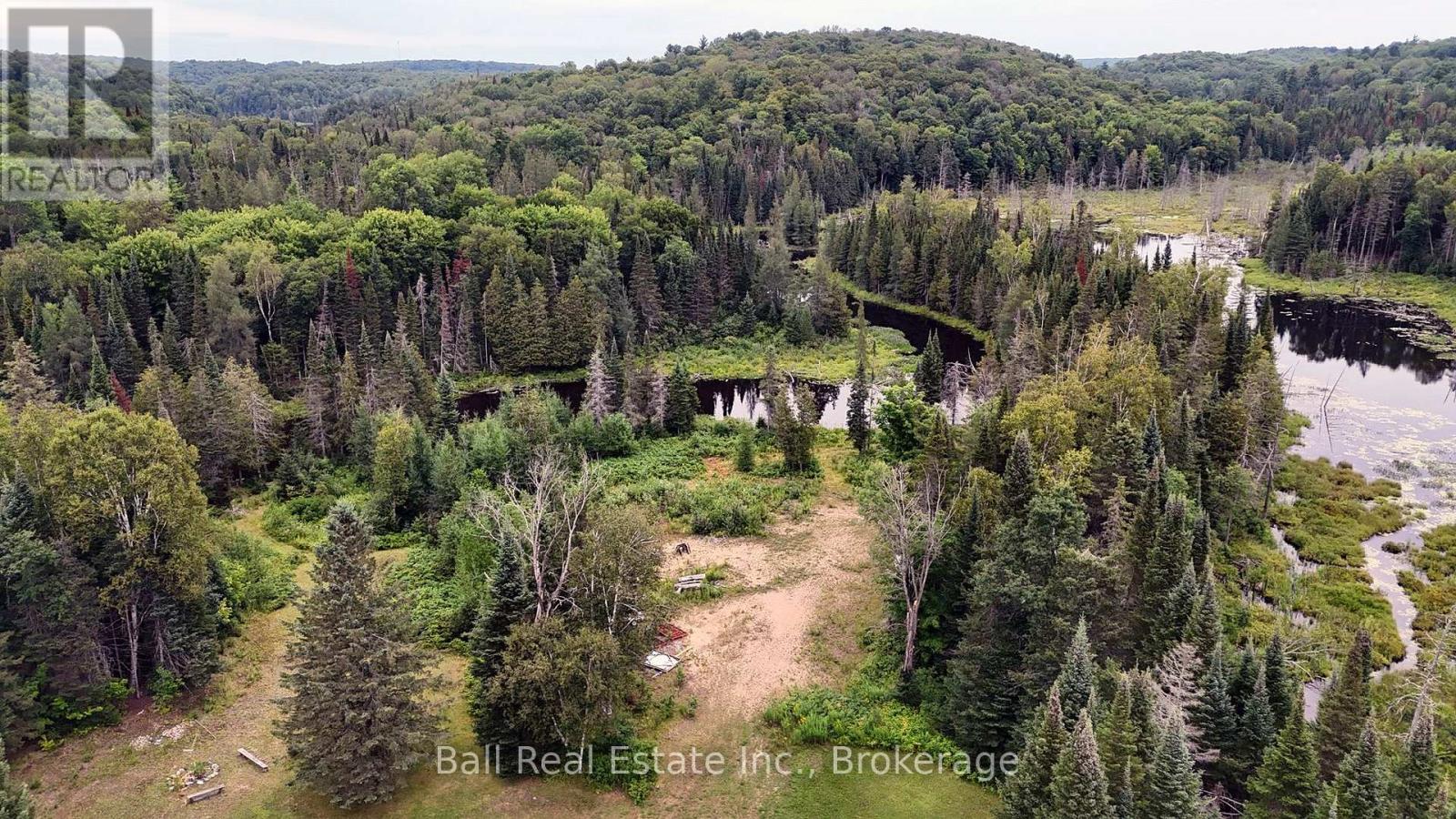 19573 Highway #118 Highway E, Highlands East (Monmouth), Ontario  K0L 3C0 - Photo 4 - X13658562