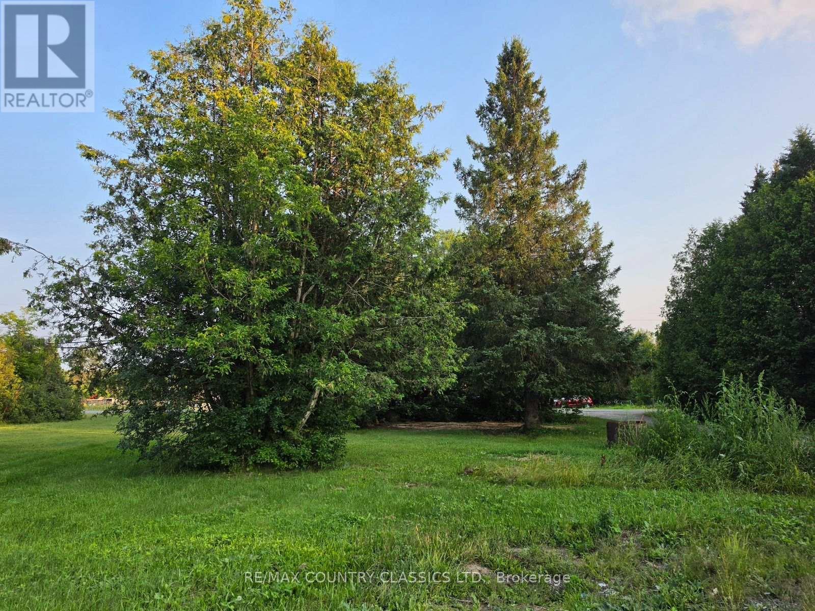 92 Paudash School Road, Faraday, Ontario  K0L 1C0 - Photo 2 - X13658896