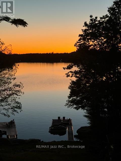 88 Brock Road, North Kawartha, Ontario  K0L 1A0 - Photo 47 - X13659484