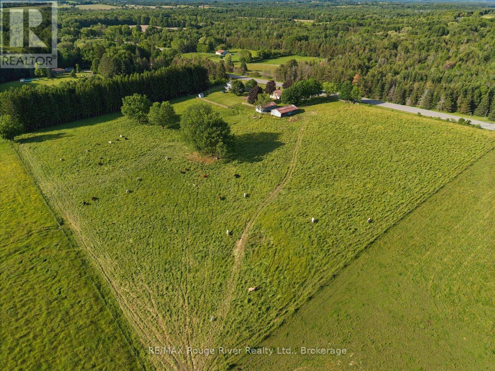 3714 Newtonville Road, Clarington, Ontario  L0A 1J0 - Photo 35 - E13665876