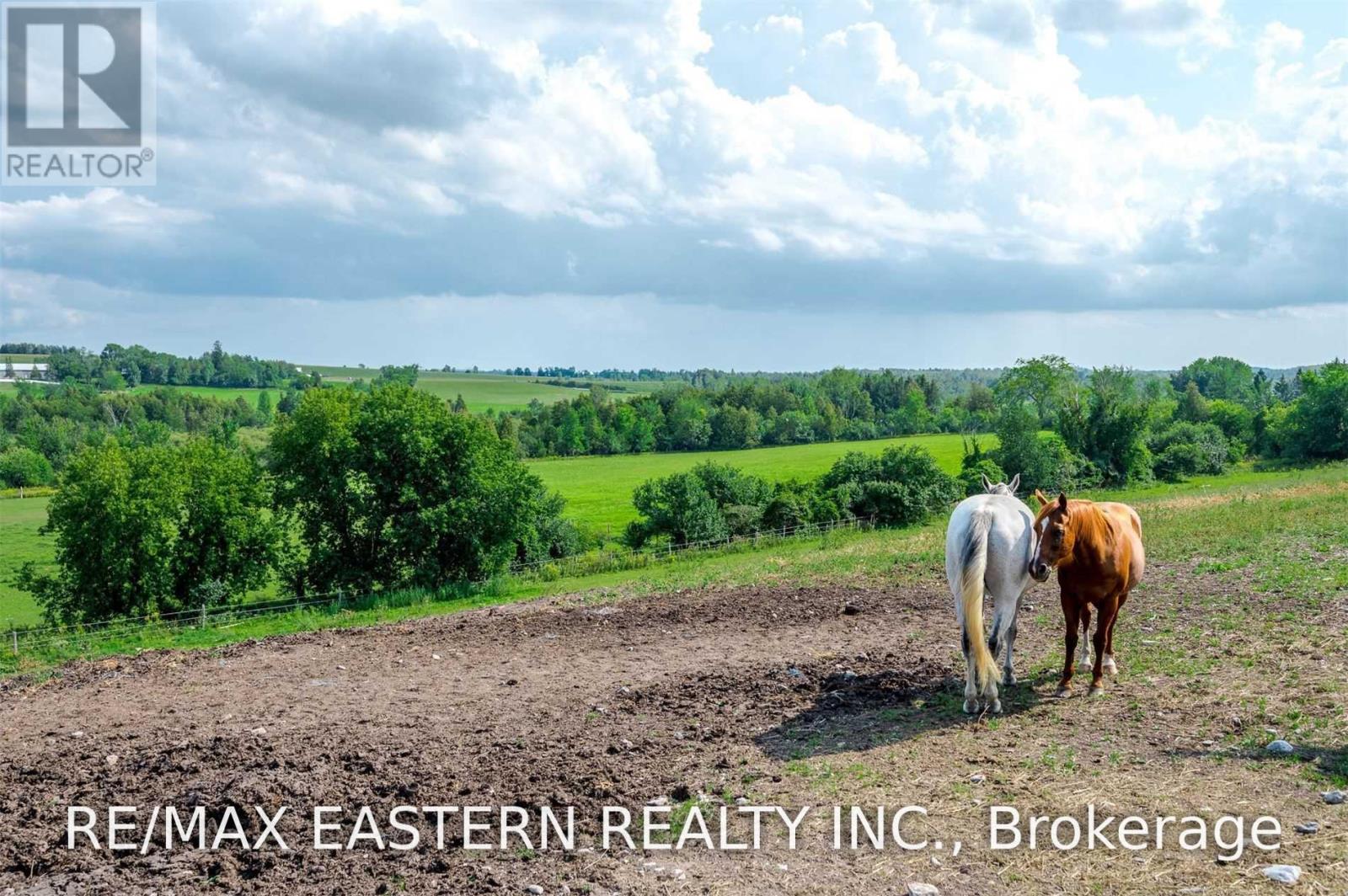 583 Second Line, Douro-Dummer, Ontario  K0L 2B0 - Photo 11 - X13666028