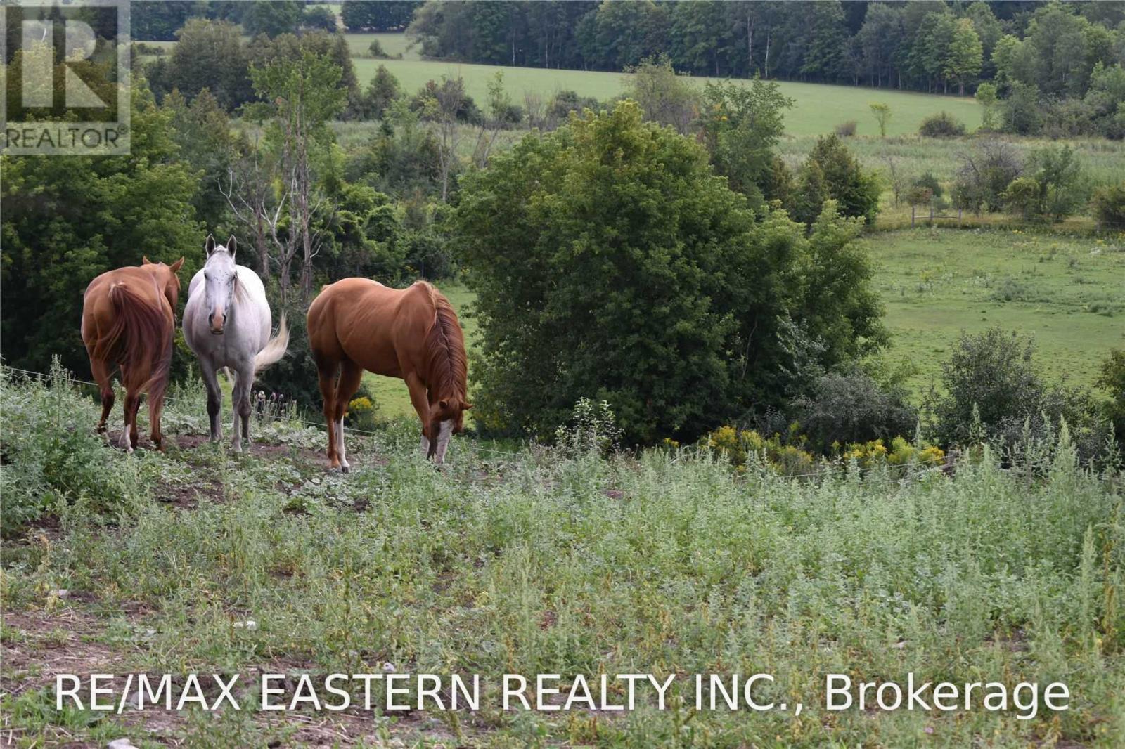 583 Second Line, Douro-Dummer, Ontario  K0L 2B0 - Photo 13 - X13666028