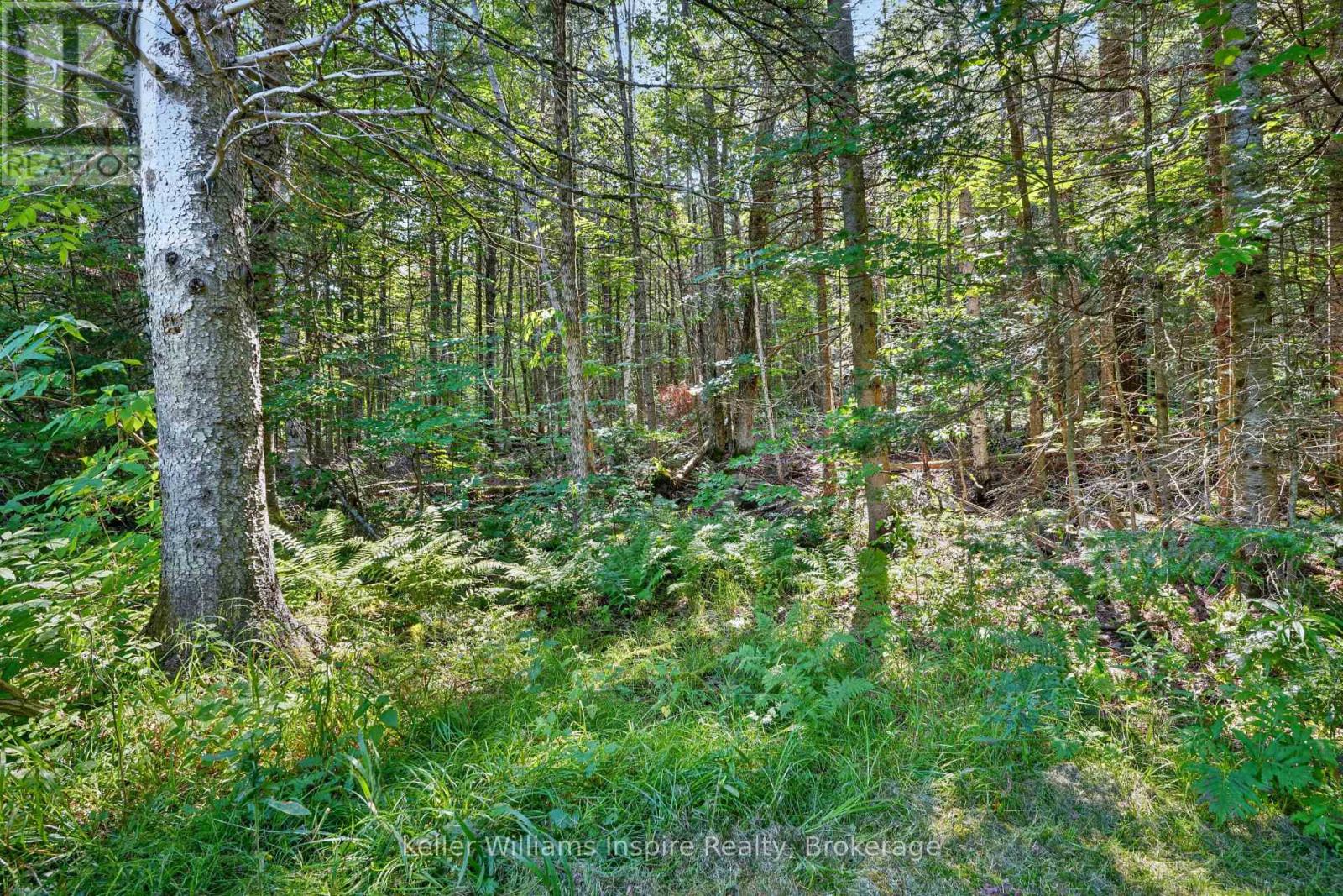 3044 Loop Road, Highlands East (Cardiff Ward), Ontario  K0L 3C0 - Photo 20 - X13669804