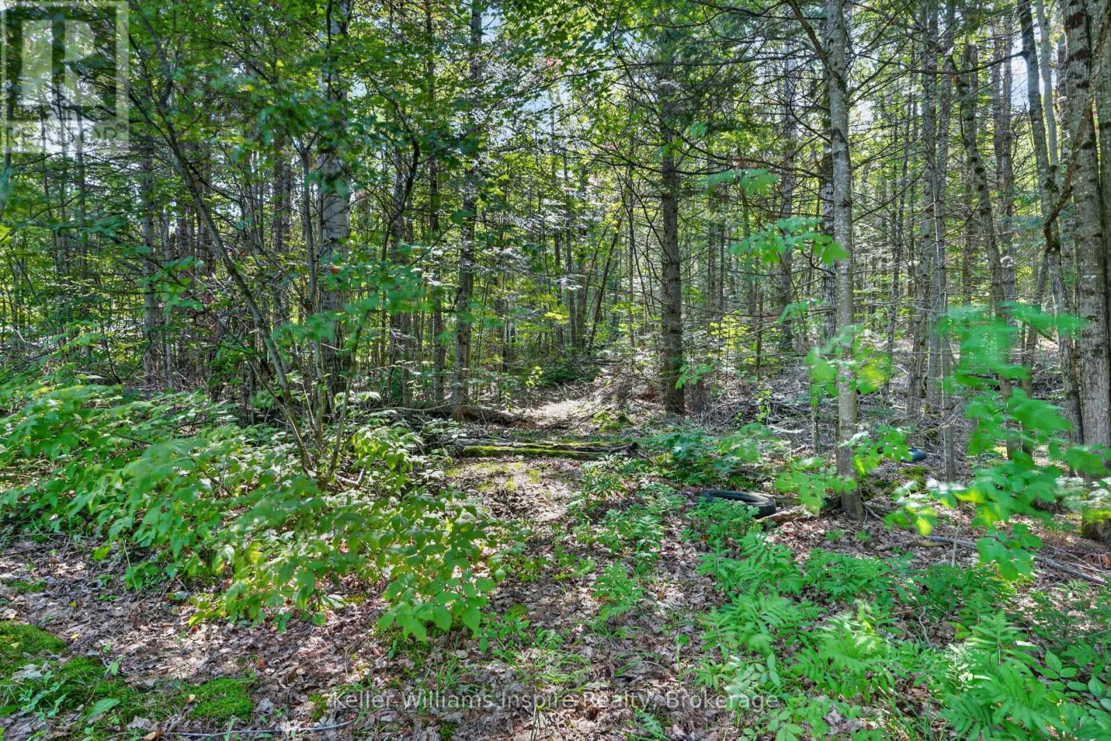 3044 Loop Road, Highlands East (Cardiff Ward), Ontario  K0L 3C0 - Photo 21 - X13669804
