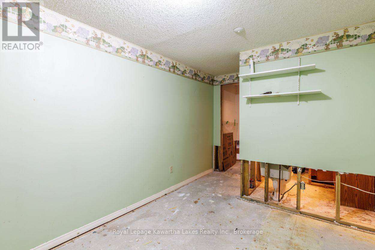 45 Sinclair Street, Kawartha Lakes (Lindsay), Ontario  K9V 5L6 - Photo 38 - X13670720