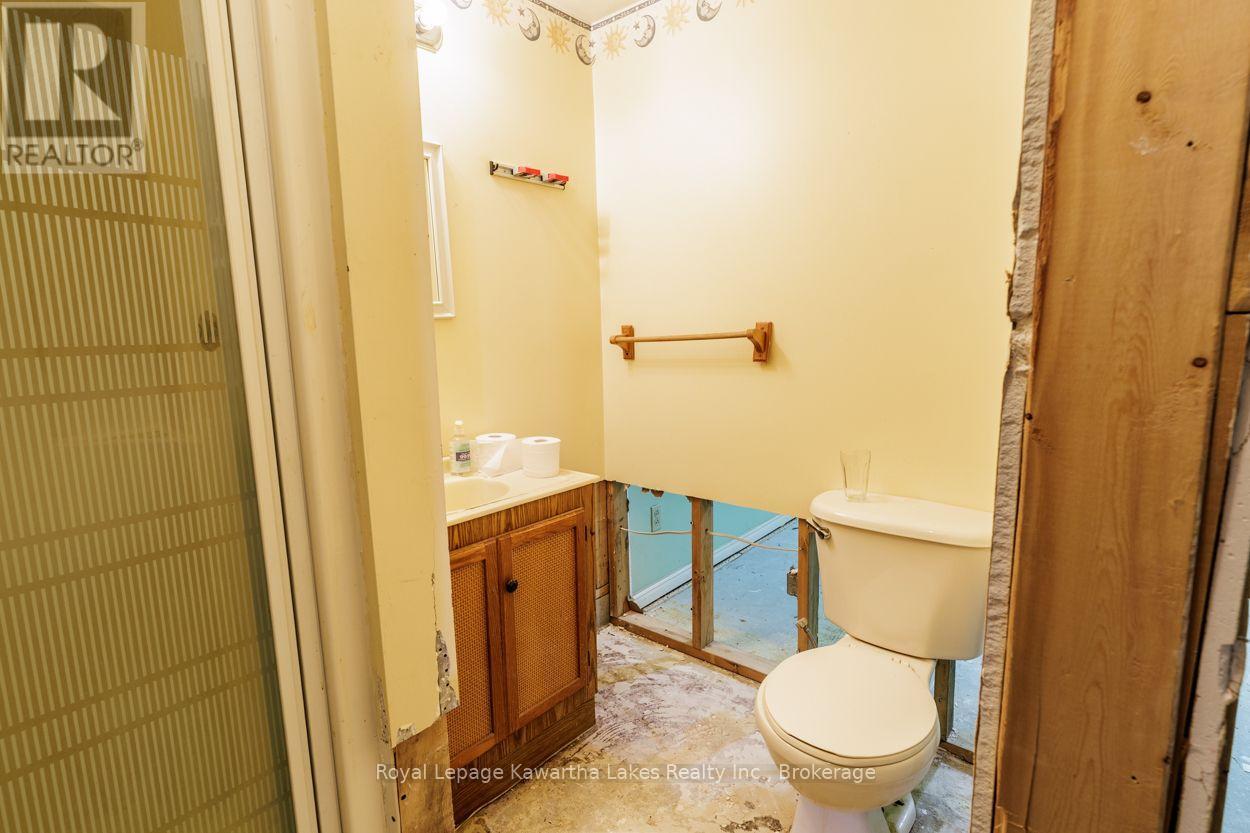 45 Sinclair Street, Kawartha Lakes (Lindsay), Ontario  K9V 5L6 - Photo 39 - X13670720