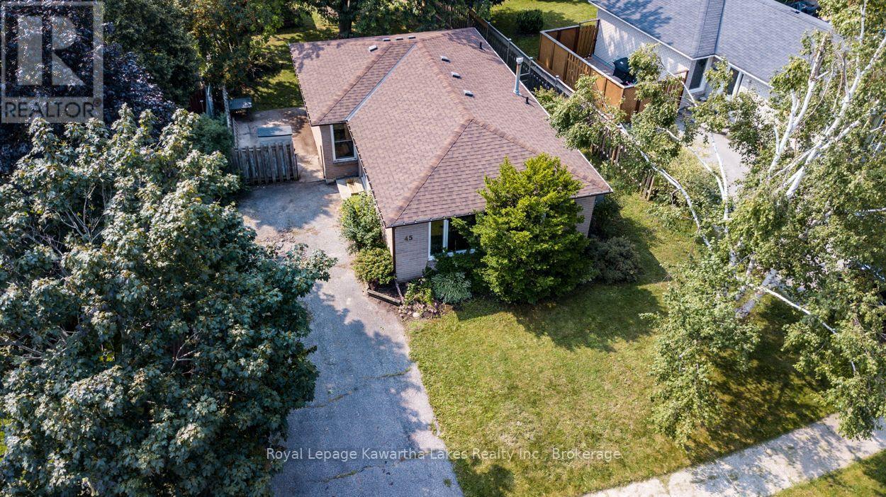 45 Sinclair Street, Kawartha Lakes (Lindsay), Ontario  K9V 5L6 - Photo 49 - X13670720