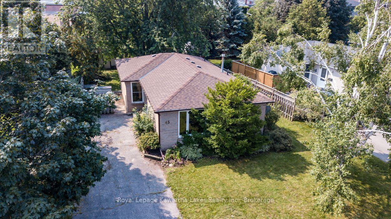 45 Sinclair Street, Kawartha Lakes (Lindsay), Ontario  K9V 5L6 - Photo 50 - X13670720