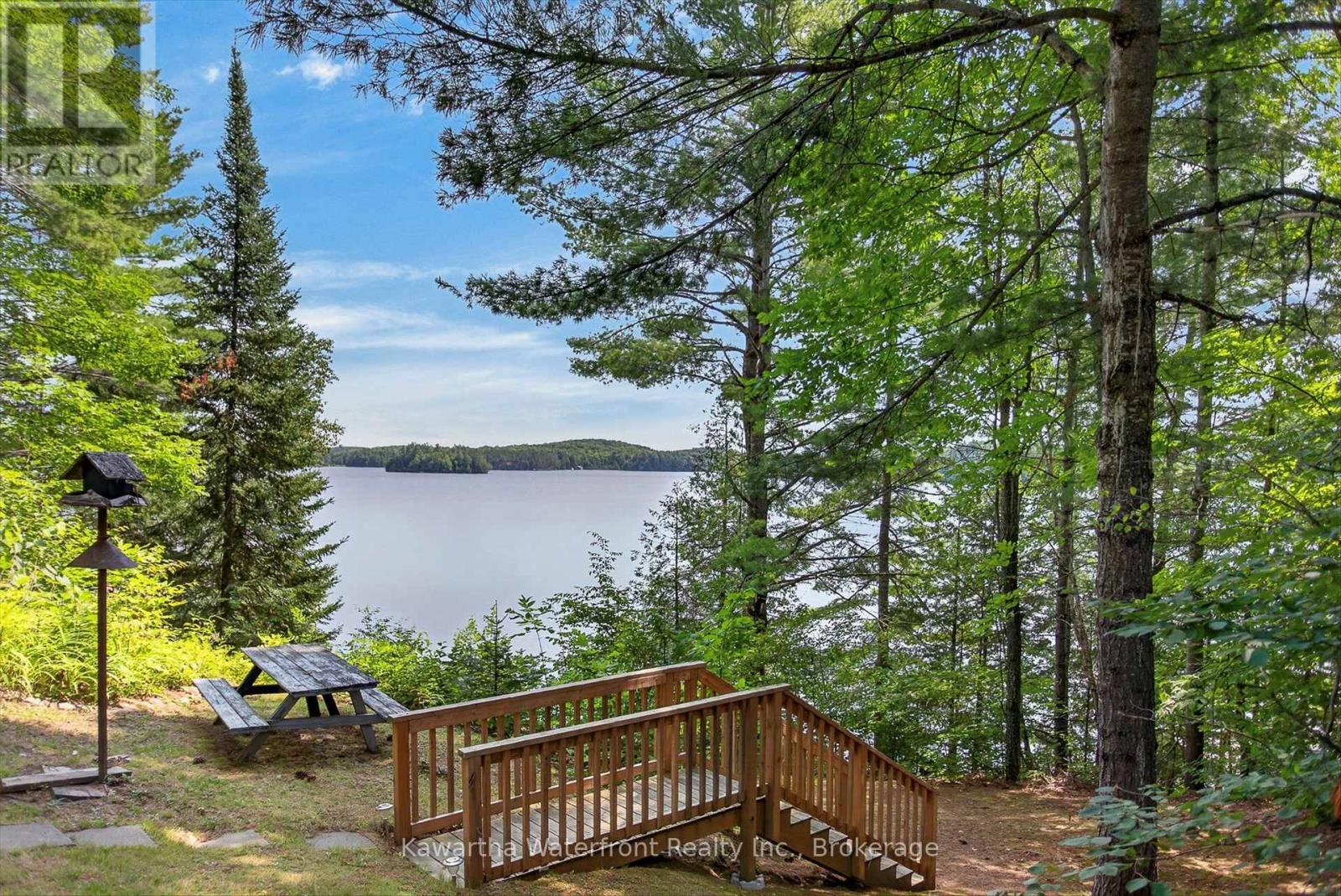 1620 Lewis Drive, Highlands East (Cardiff Ward), Ontario  K0L 1C0 - Photo 36 - X13672686