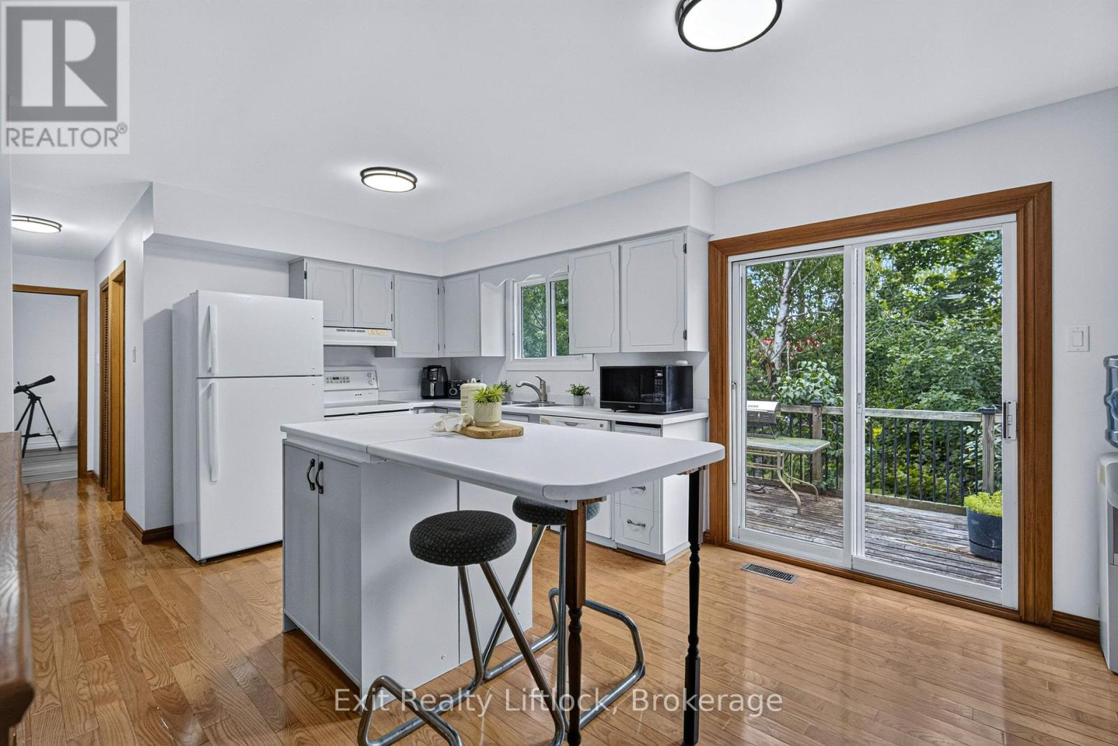 3 Basswood Street, Kawartha Lakes (Emily), Ontario  K0L 2W0 - Photo 10 - X13682106