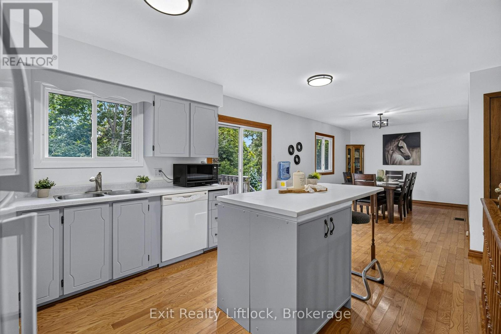 3 Basswood Street, Kawartha Lakes (Emily), Ontario  K0L 2W0 - Photo 13 - X13682106