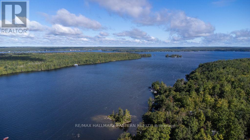 22 Carolina Court, Trent Lakes, Ontario  K9J 6X2 - Photo 40 - X13682876