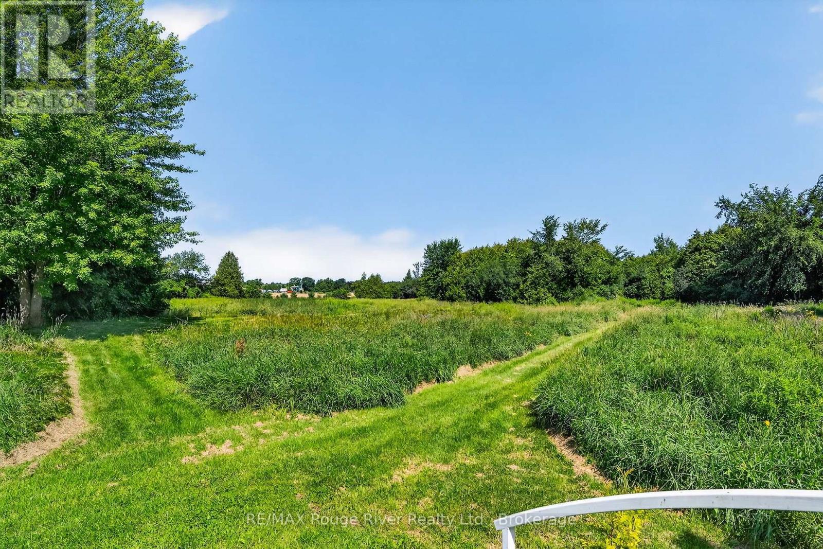 638 County Rd 28, Cavan Monaghan (Millbrook Village), Ontario  L0A 1G0 - Photo 46 - X13683196