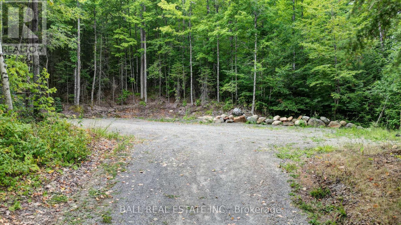 2884 Old Hastings Road, Limerick, Ontario  K0L 1P0 - Photo 35 - X13683446