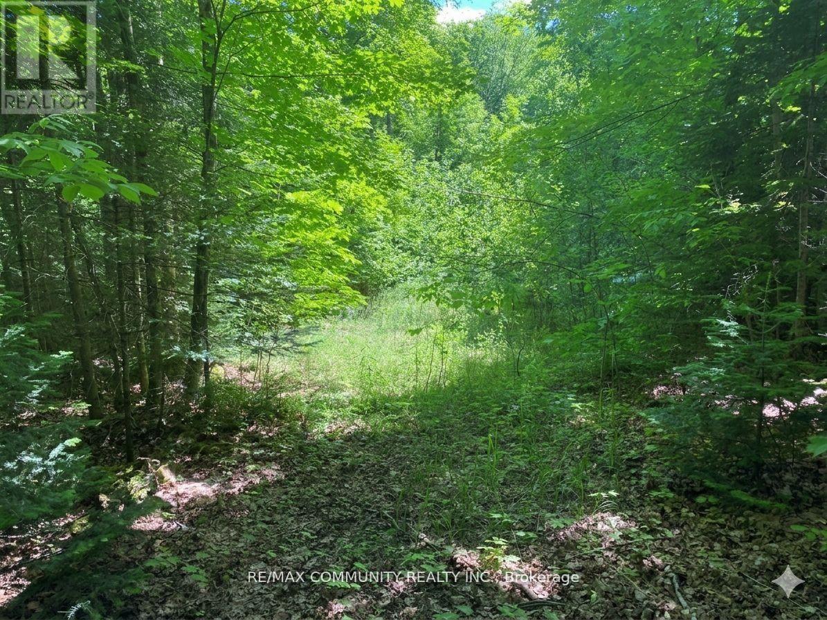 12 Con Concession, Highlands East (Monmouth), Ontario  K0L 3C0 - Photo 3 - X13685364