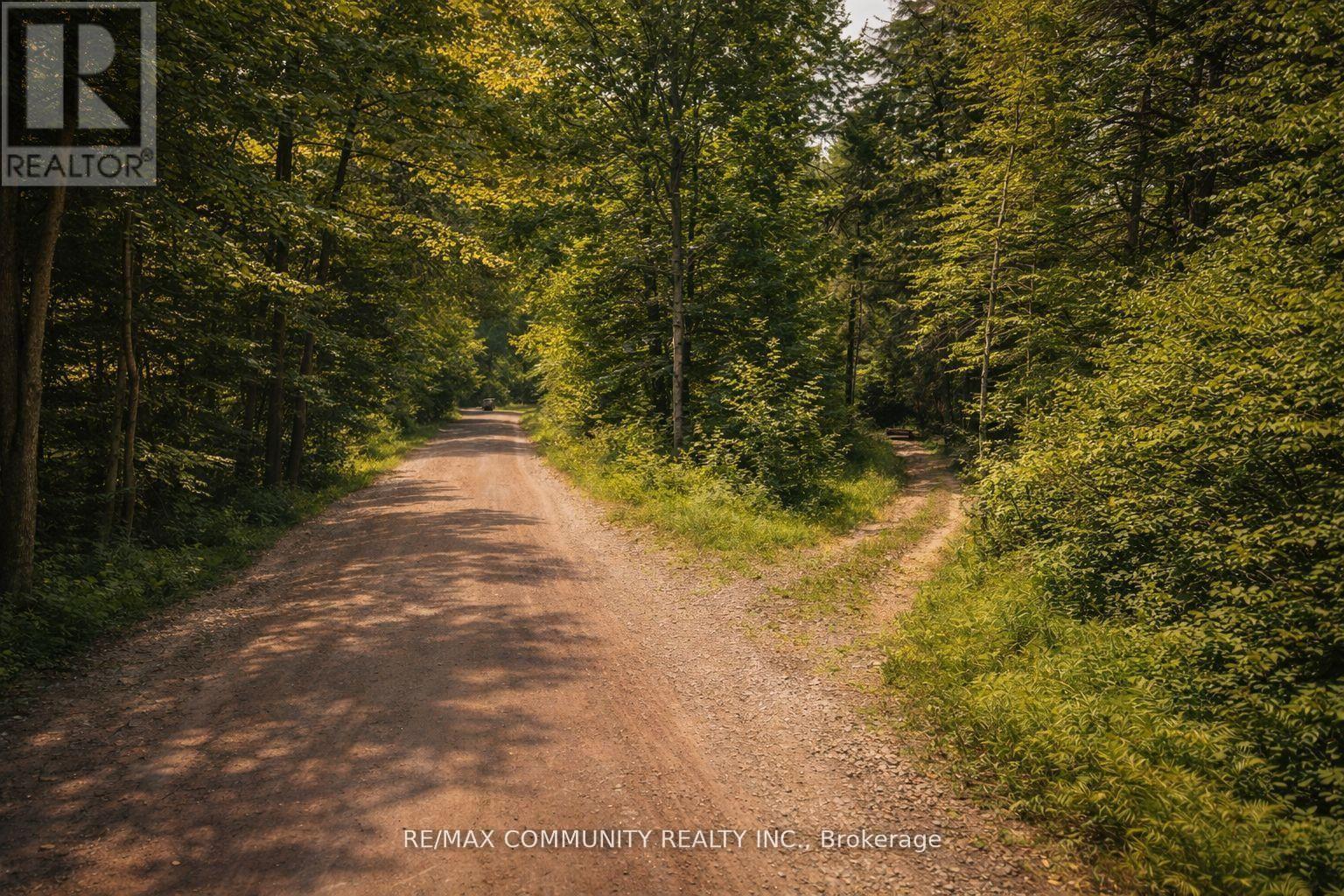 12 Con Concession, Highlands East (Monmouth), Ontario  K0L 3C0 - Photo 6 - X13685364