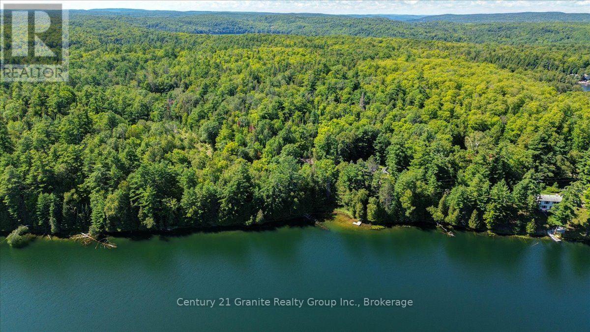 118 Bay Lake Road, Bancroft (Dungannon Ward), Ontario  K0L 1C0 - Photo 25 - X13686184