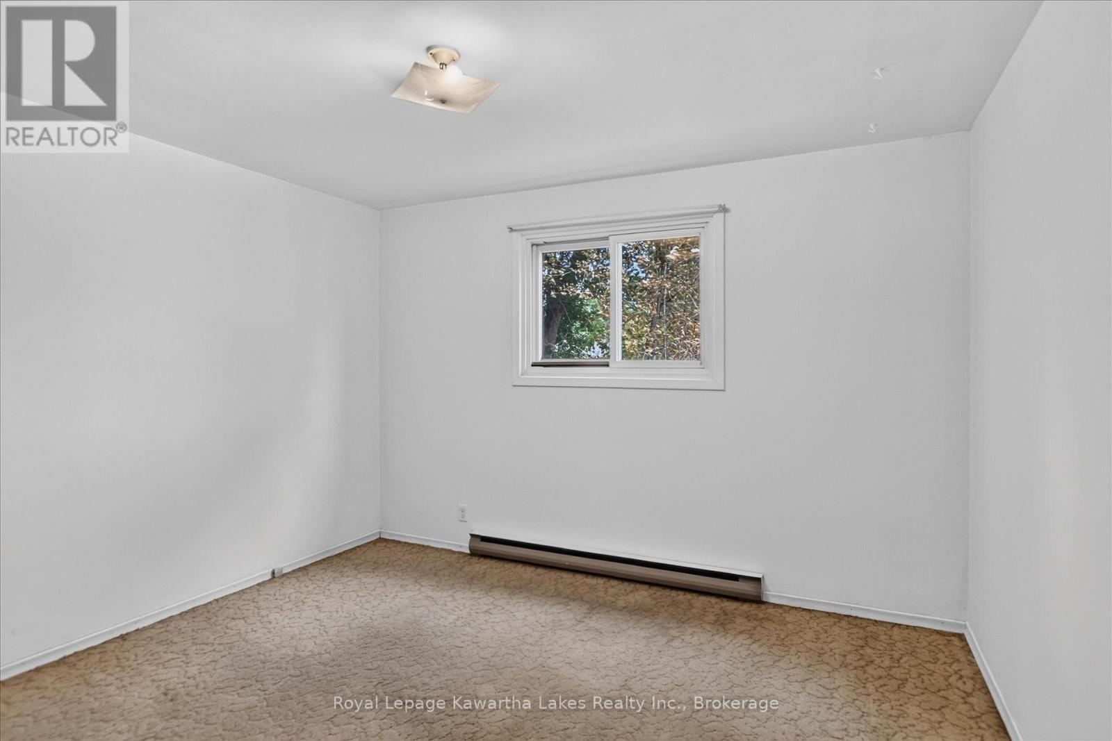 78 Durham Street W, Kawartha Lakes (Lindsay), Ontario  K9V 2P9 - Photo 20 - X13686432