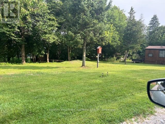 691 Frank Hill Road, Kawartha Lakes (Emily), Ontario  K9J 6X3 - Photo 12 - X13687668