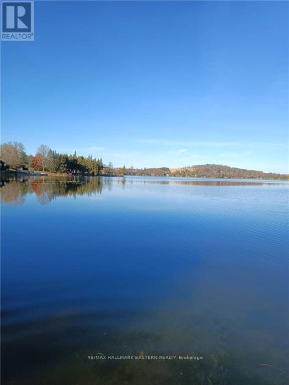 691 Frank Hill Road, Kawartha Lakes (Emily), Ontario  K9J 6X3 - Photo 6 - X13687668