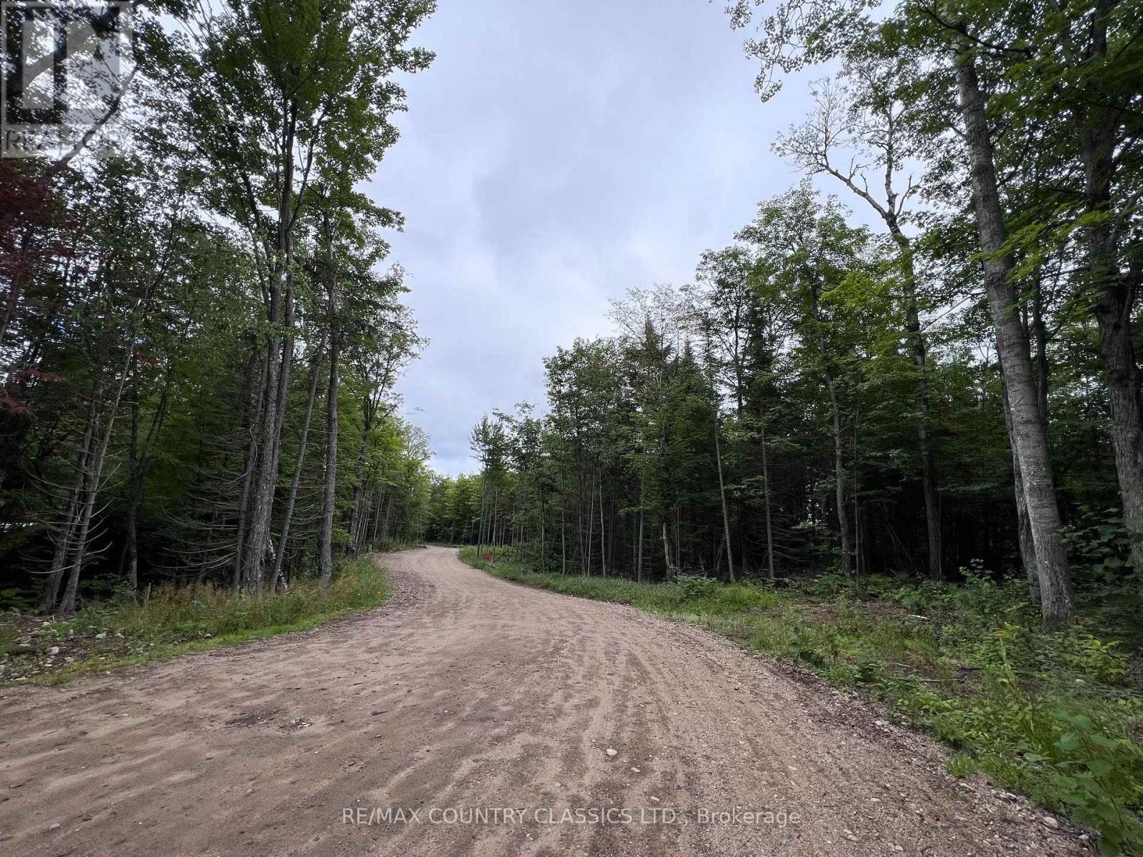 3952 Loop Road, Highlands East (Cardiff Ward), Ontario  K0L 1X0 - Photo 40 - X13687788