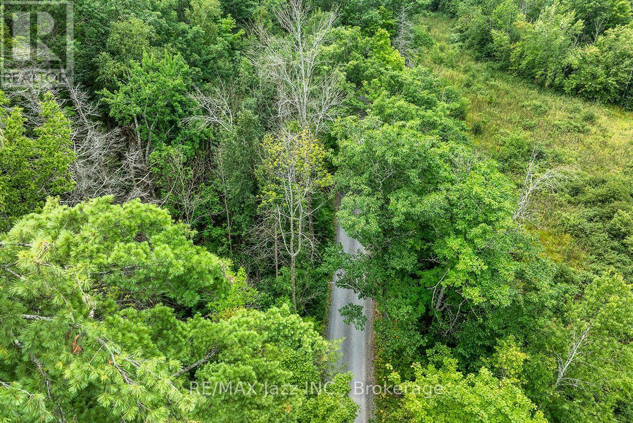 147 Fire Route 8, Havelock-Belmont-Methuen (Belmont-Methuen), Ontario  K0L 1Z0 - Photo 2 - X13688168