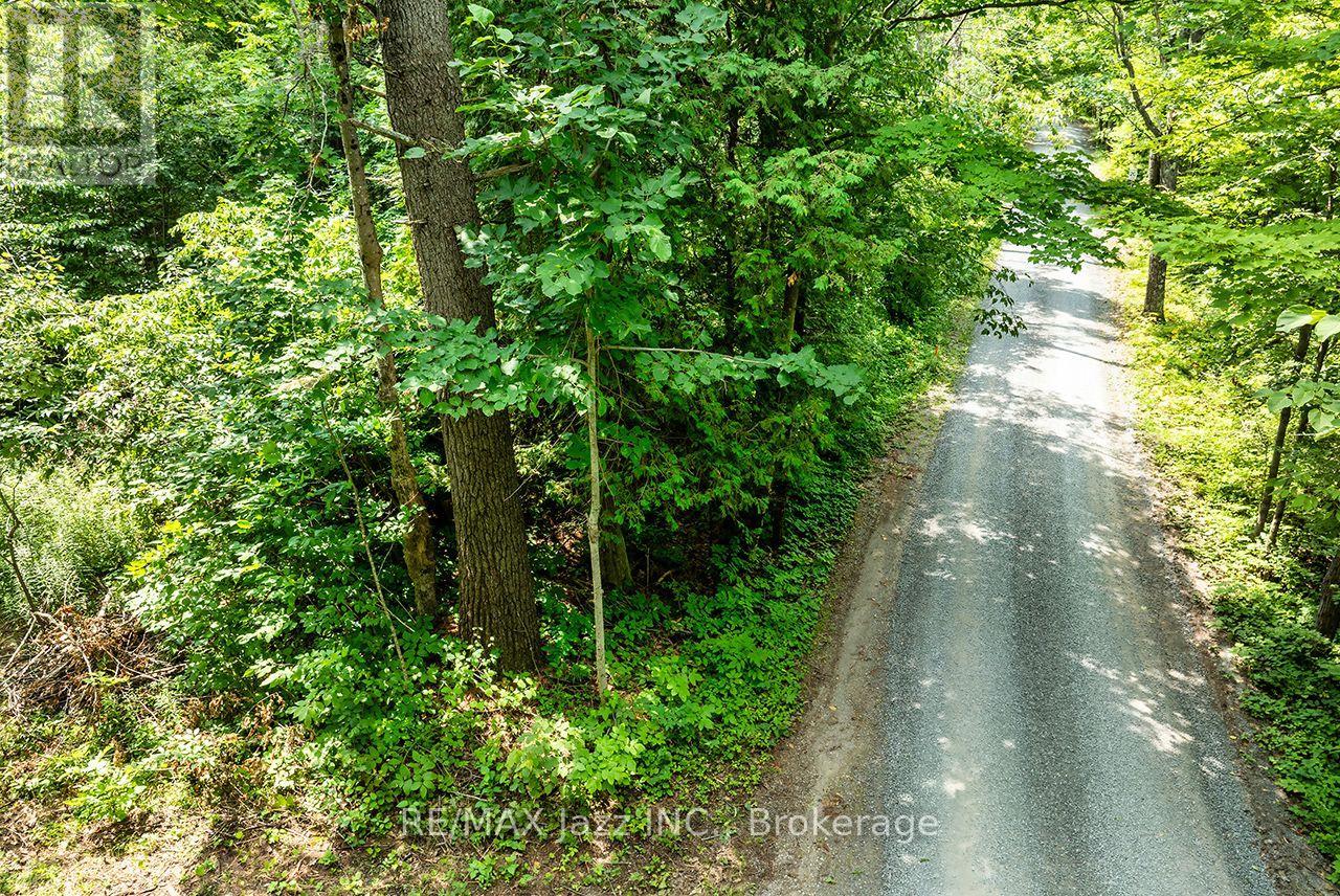 147 Fire Route 8, Havelock-Belmont-Methuen (Belmont-Methuen), Ontario  K0L 1Z0 - Photo 21 - X13688168