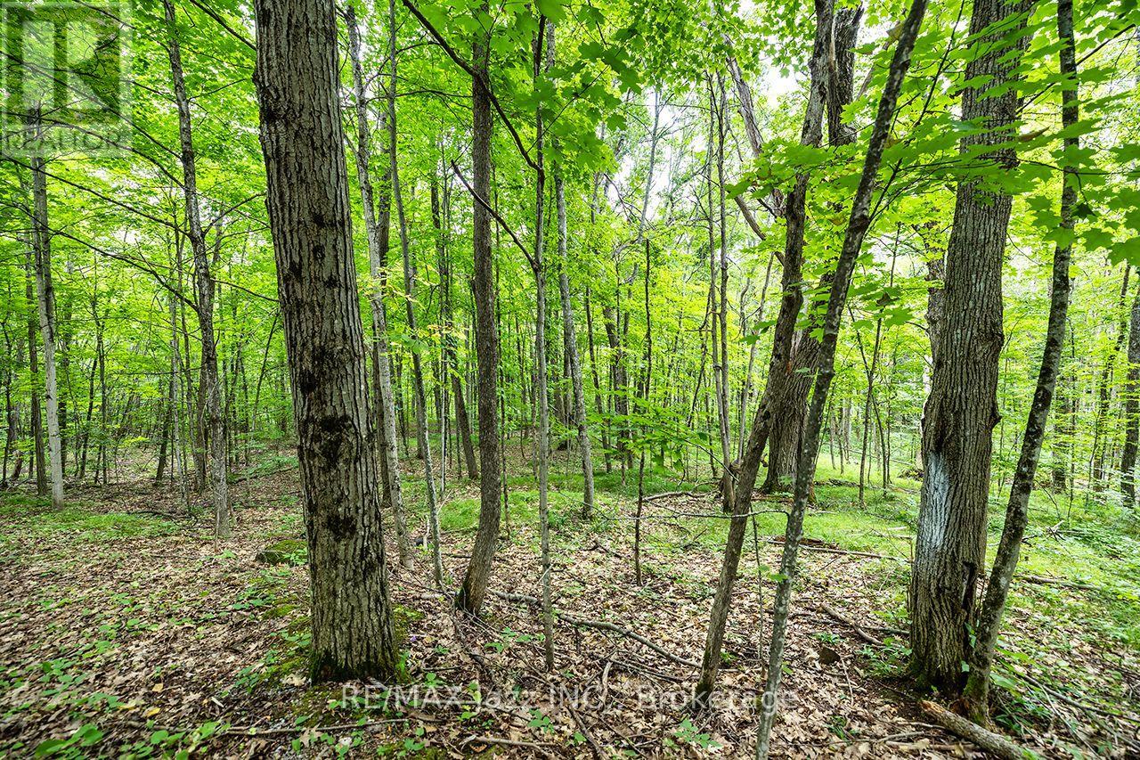 147 Fire Route 8, Havelock-Belmont-Methuen (Belmont-Methuen), Ontario  K0L 1Z0 - Photo 24 - X13688168