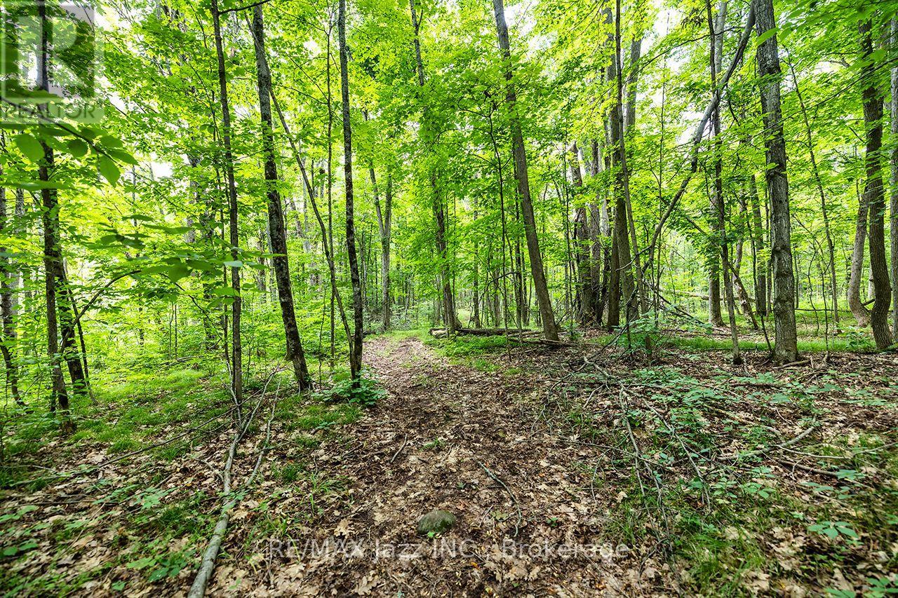 147 Fire Route 8, Havelock-Belmont-Methuen (Belmont-Methuen), Ontario  K0L 1Z0 - Photo 29 - X13688168