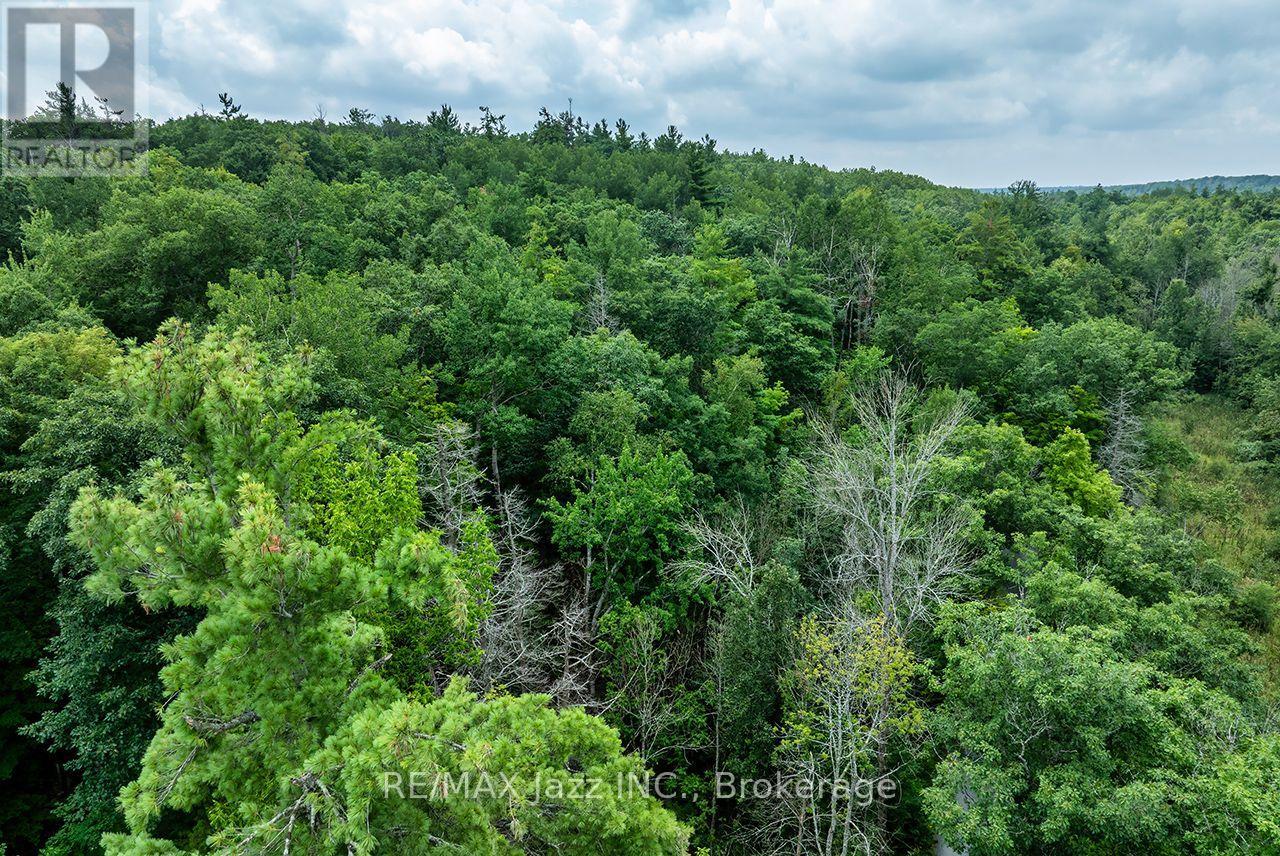 147 Fire Route 8, Havelock-Belmont-Methuen (Belmont-Methuen), Ontario  K0L 1Z0 - Photo 3 - X13688168