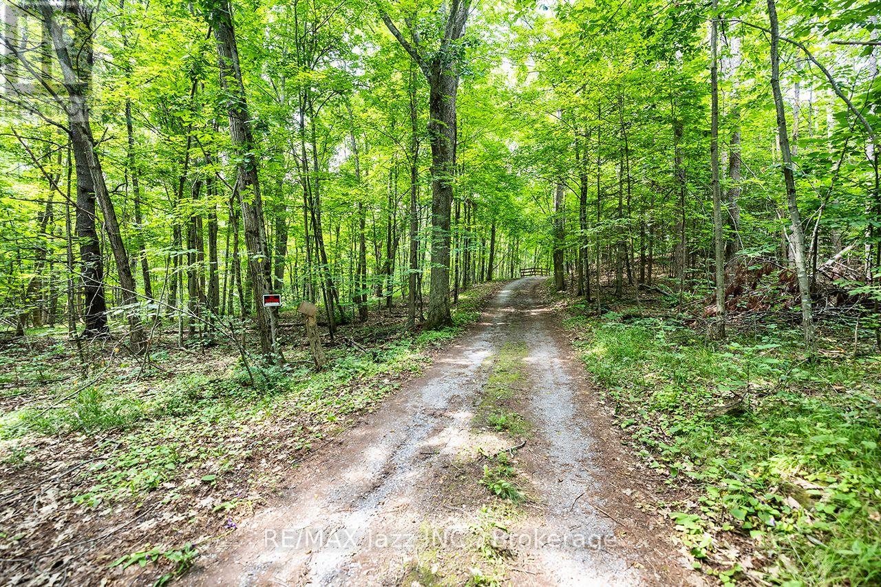 147 Fire Route 8, Havelock-Belmont-Methuen (Belmont-Methuen), Ontario  K0L 1Z0 - Photo 35 - X13688168