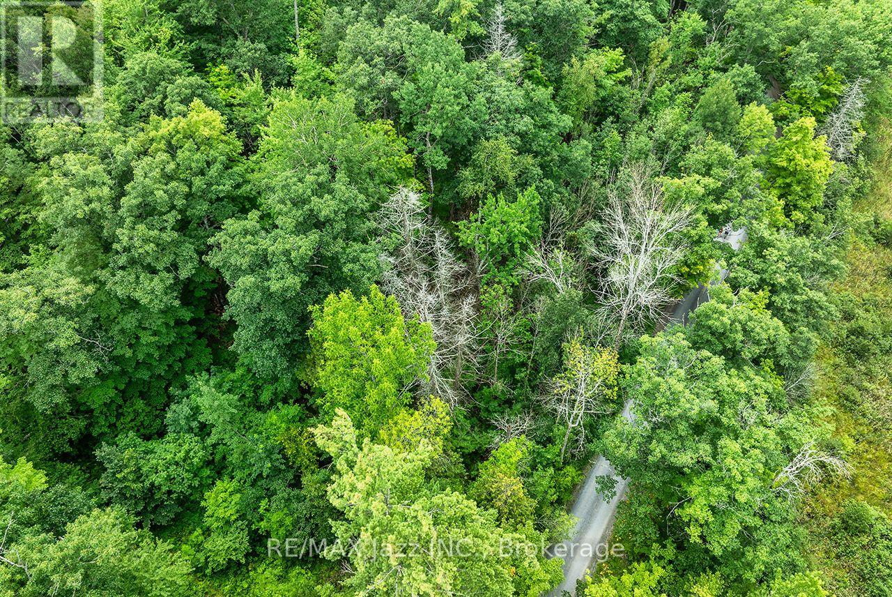 147 Fire Route 8, Havelock-Belmont-Methuen (Belmont-Methuen), Ontario  K0L 1Z0 - Photo 4 - X13688168