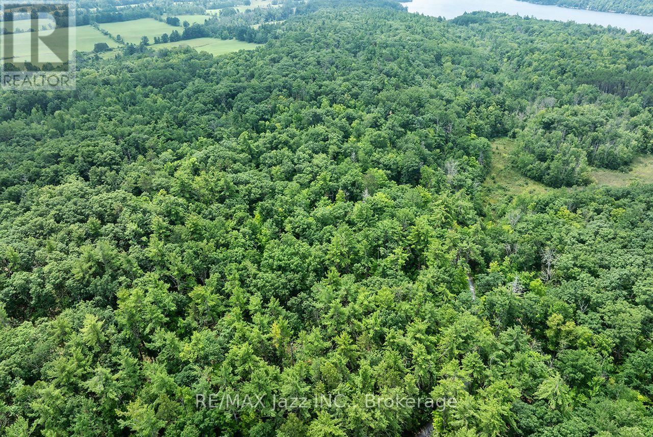 147 Fire Route 8, Havelock-Belmont-Methuen (Belmont-Methuen), Ontario  K0L 1Z0 - Photo 7 - X13688168