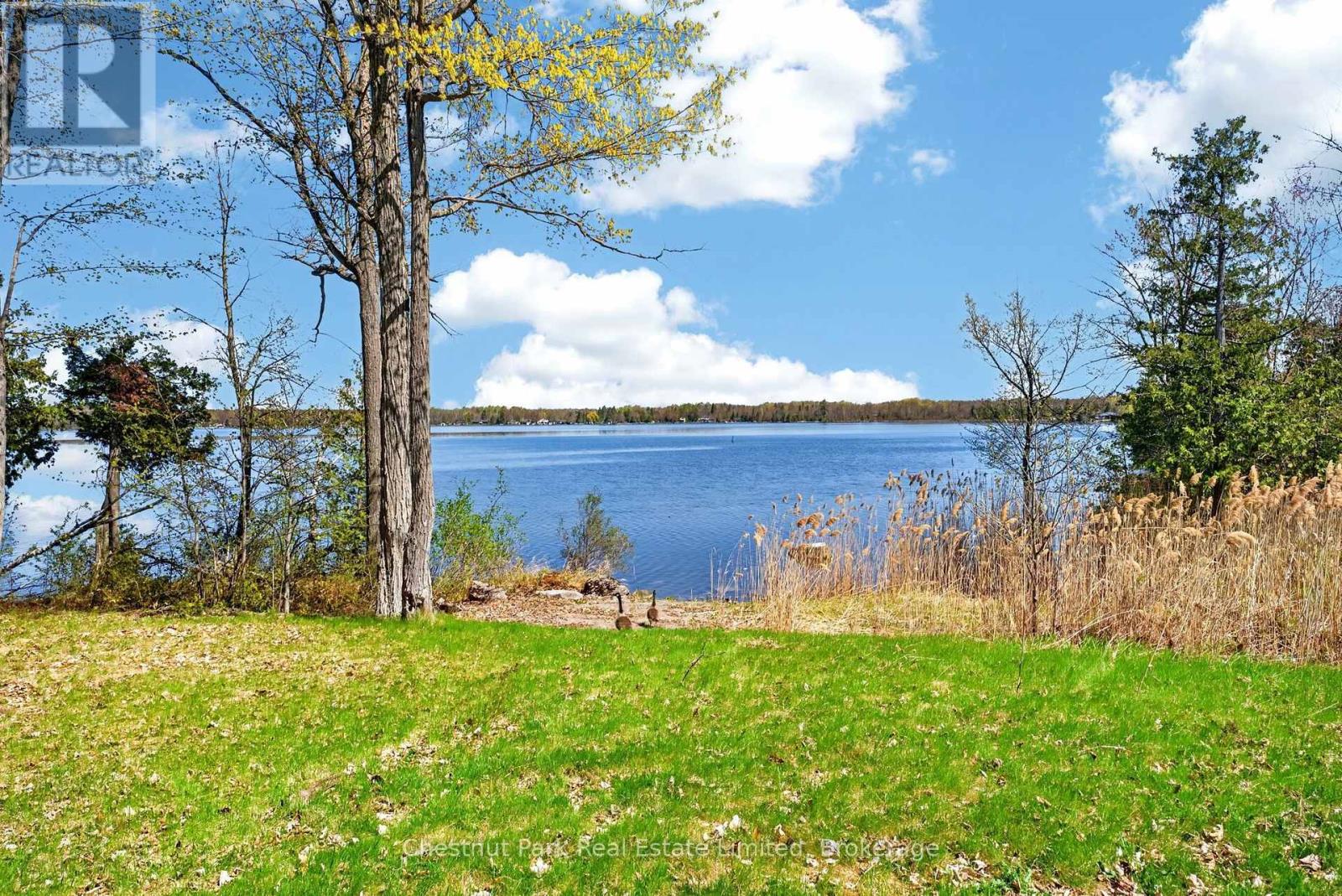 0 Nappan Island Road, Trent Hills, Ontario  K0L 2Z0 - Photo 12 - X13688694