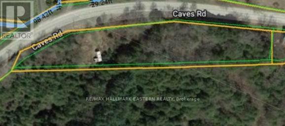 318 & 321 Caves Road, Douro-Dummer, Ontario  K0L 3A0 - Photo 25 - X13689232