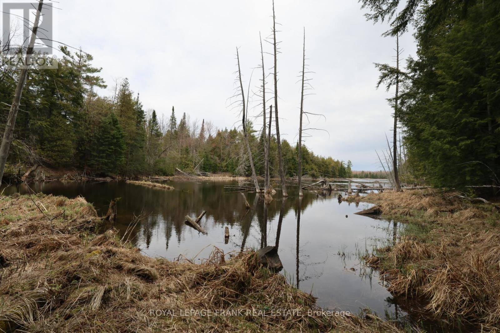 165 County Rd 507, Trent Lakes, Ontario  K0L 1J0 - Photo 43 - X13690486