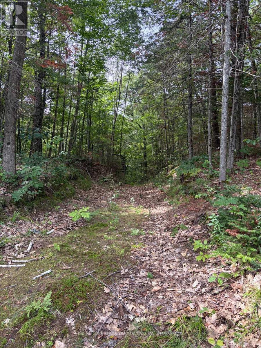 181 Chemaushgon Road, Bancroft (Bancroft Ward), Ontario  K0L 1C0 - Photo 2 - X13691344