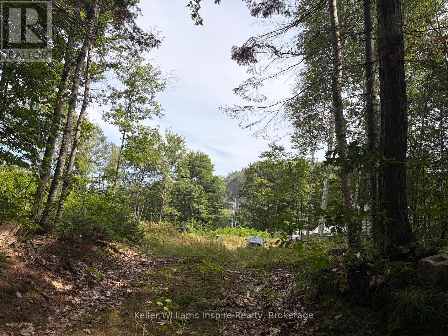 181 Chemaushgon Road, Bancroft (Bancroft Ward), Ontario  K0L 1C0 - Photo 6 - X13691344