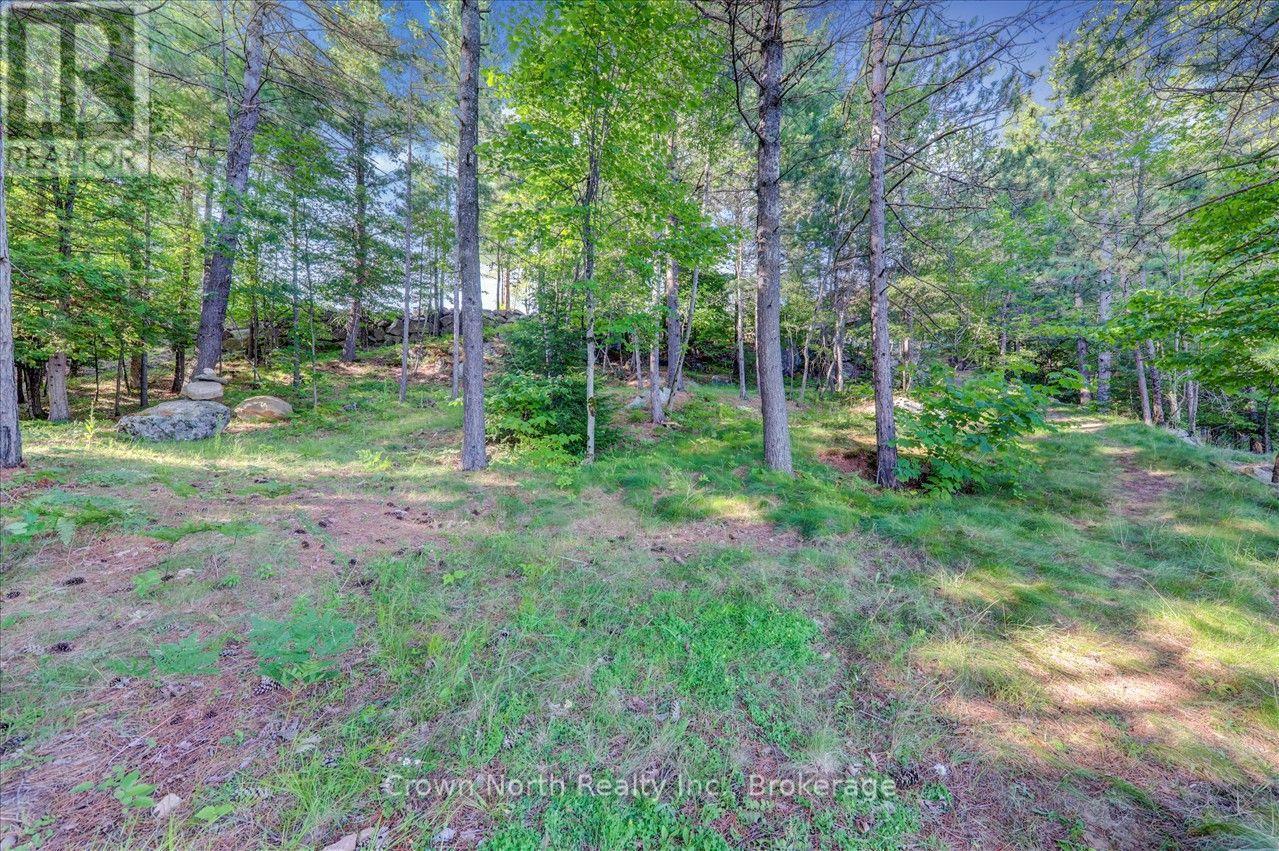 111 Gazelle Trail, North Kawartha, Ontario  K0L 1A0 - Photo 18 - X13691102