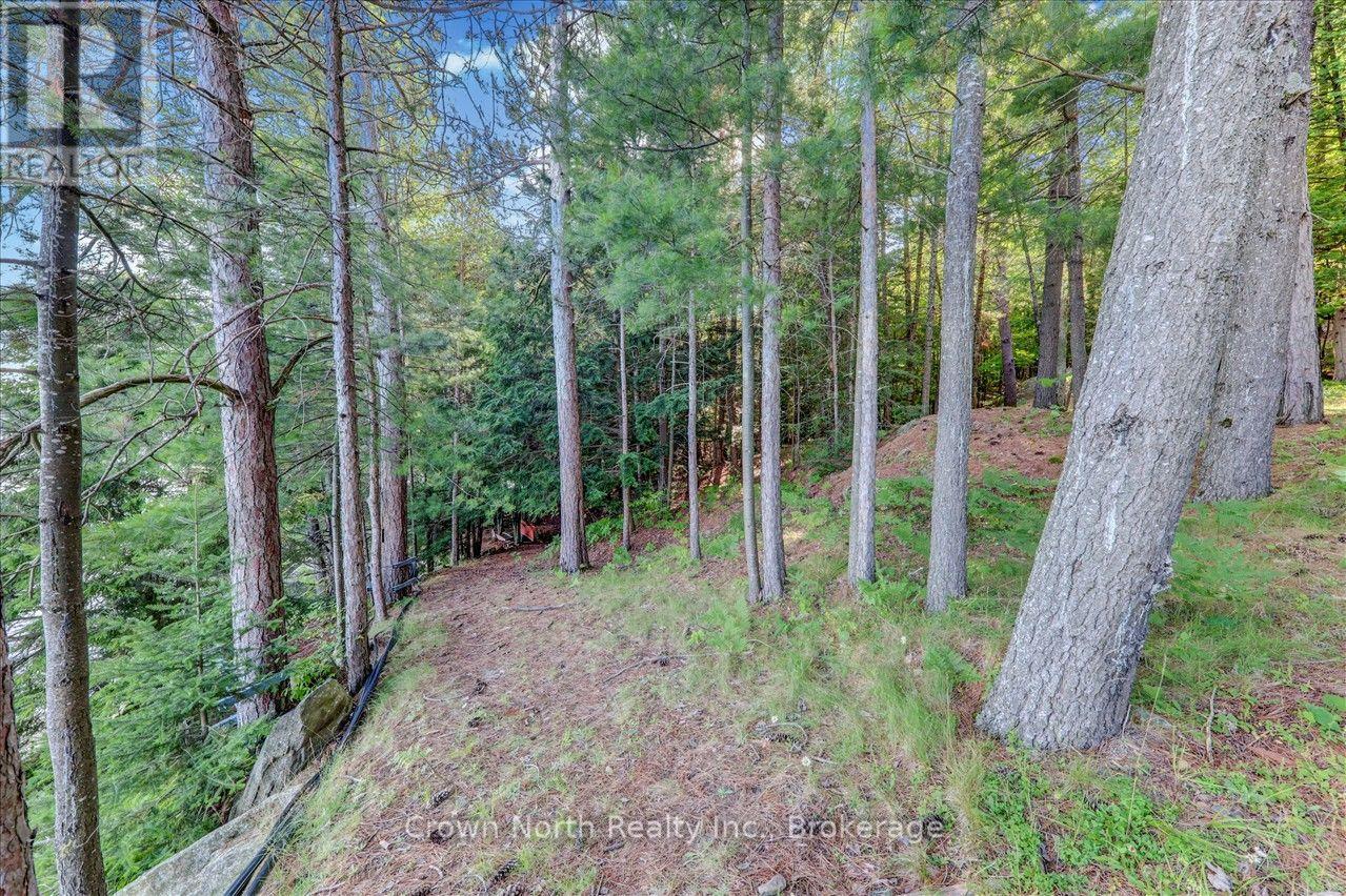 111 Gazelle Trail, North Kawartha, Ontario  K0L 1A0 - Photo 19 - X13691102