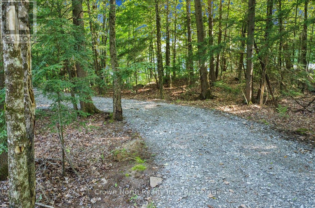 111 Gazelle Trail, North Kawartha, Ontario  K0L 1A0 - Photo 40 - X13691102