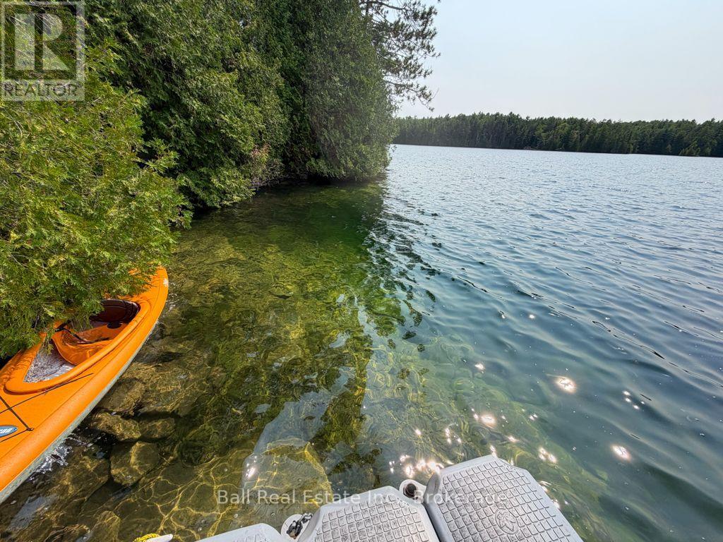 0 Wao Mayo Lake, Carlow/mayo (Mayo Ward), Ontario  K0L 2M0 - Photo 20 - X13692096