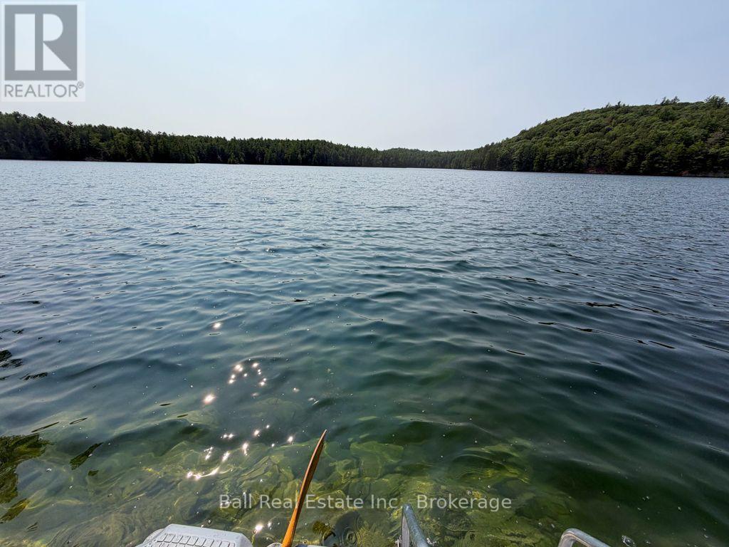 0 Wao Mayo Lake, Carlow/mayo (Mayo Ward), Ontario  K0L 2M0 - Photo 21 - X13692096