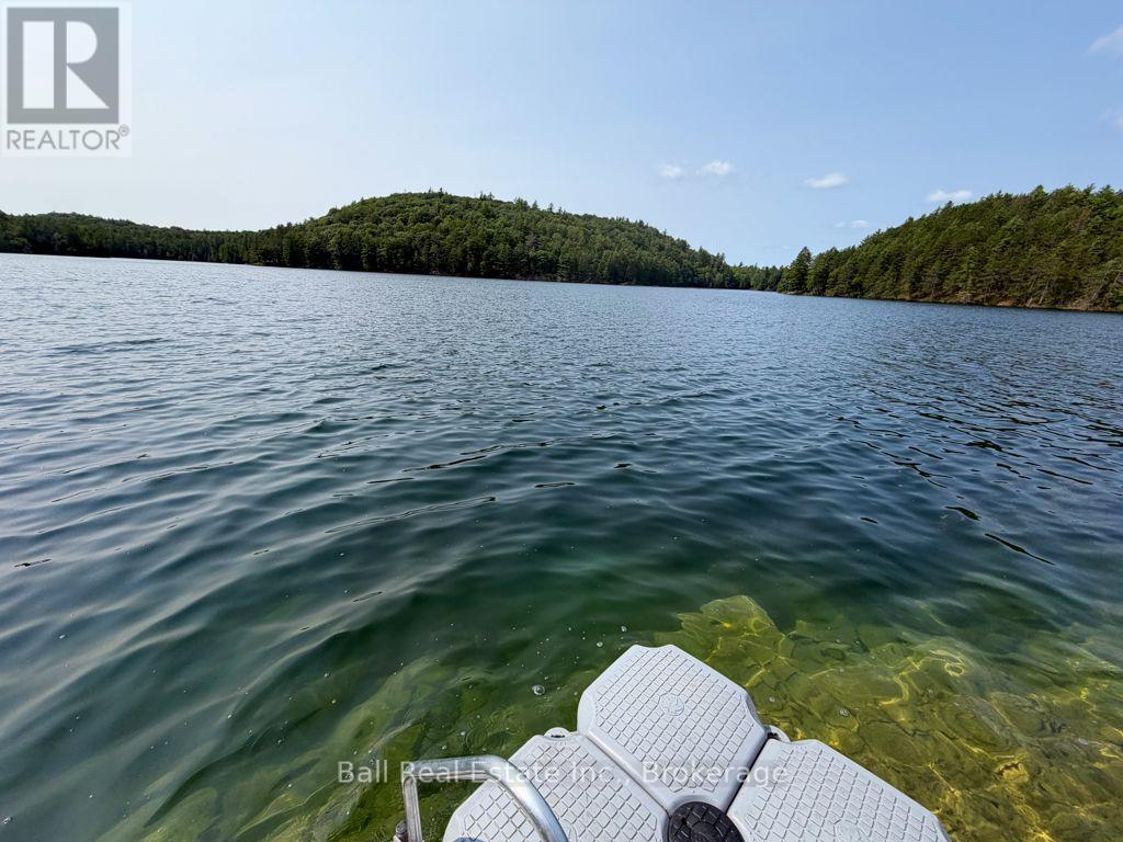 0 Wao Mayo Lake, Carlow/mayo (Mayo Ward), Ontario  K0L 2M0 - Photo 22 - X13692096